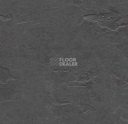 Линолеум Forbo Marmoleum Decibel on Order e372535 welsh slate фото 1 | FLOORDEALER
